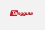 Tanggula TV Box coupon code