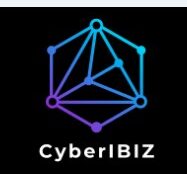 CyberIBIZ