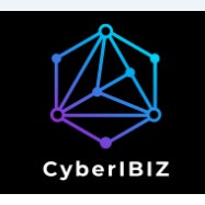 CyberIBIZ